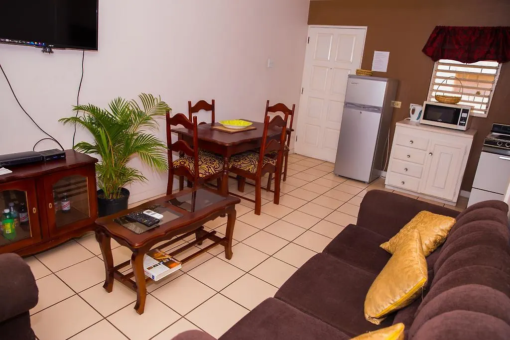 Cozy Waterloo Apartment Kingston 0*,  Jamaica